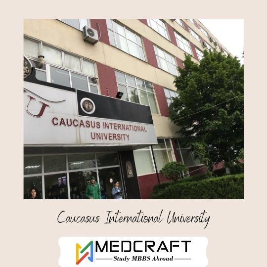 Caucasus International University - Georgia